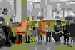 637250558_3050363838487550_8952594960779246634_n