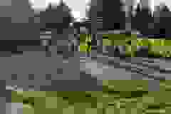 3ded8d54-a4ef-464e-9225-359e92215df0-1