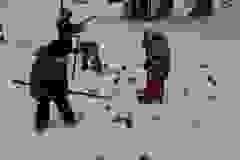 627639733_4875834939406943_8083464717228596532_n