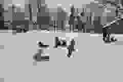 628029663_852889947779250_8018509320185916988_n