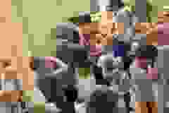 582427547_1219012290285508_6131769396129433820_n