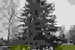 593979996_752706470448189_2318936623010867001_n