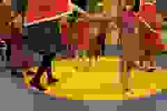 3effd51e-27f8-4df2-bafd-786854d66e99