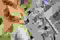 582404508_1151494170384832_158010052022922130_n