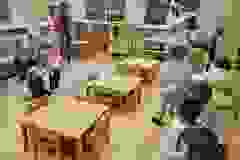 583132292_1493885258388949_4177621082229623525_n