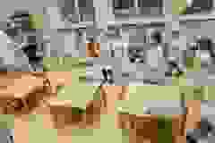 589446677_1566157207723998_4929980355118329788_n