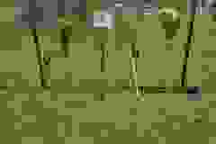 inbound6724603038466461059