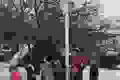 1c2f3bbd-b037-4d62-8c56-a3d728f98d97