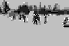 6b1de3a9-0420-4a6a-9bbb-79b2dd3666e0