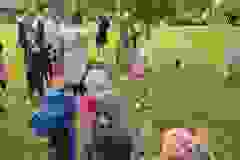 550457402_734464252958550_2524539952484586131_n