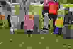 550927688_1906391306644939_8399014563399923366_n